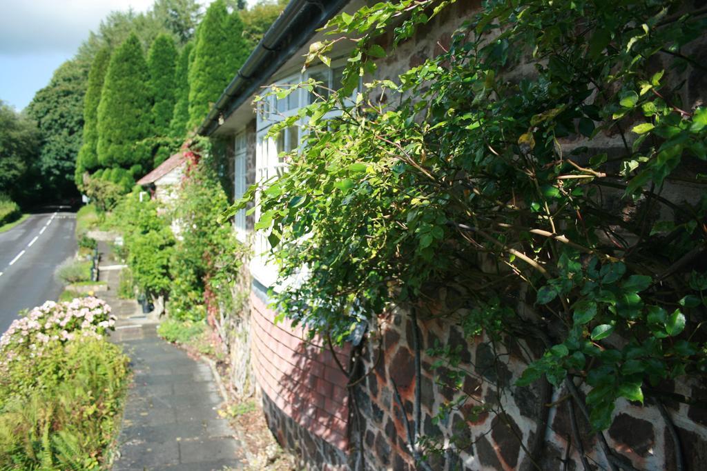 蒂弗顿 The Bark House酒店 外观 照片